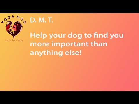 D.M.T. (Distraction, Mark, Treat) Game