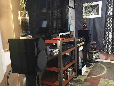 THE ALBUM EXCHANGE WITH LARRY GRAVES, WEEN, FREE AND DISCOVERING A GREAT GUITARIST #ranking #vinyl