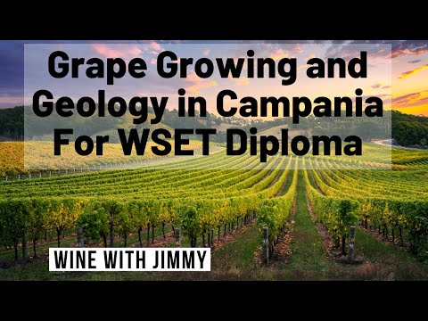 WSET Level 4 Diploma The Climate, Grapegrowing and Geology of Campania Wine