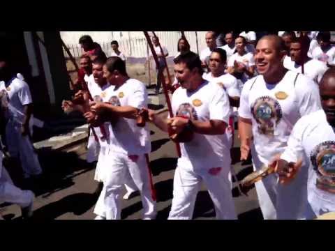 Berimbau me leva êh - 50 anos mestre cobra