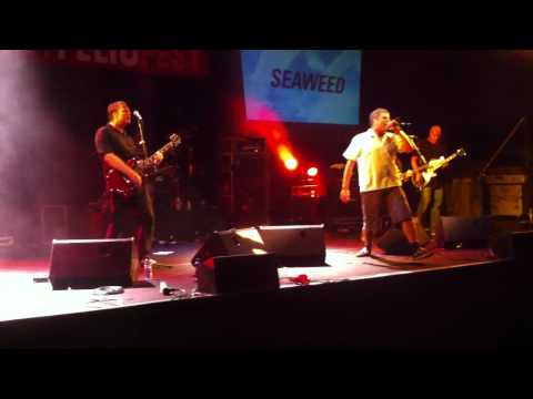 SEAWEED - Free drug zone (Sant Feliu Fest 2012)
