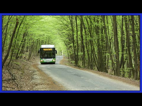 MVK a majális napján - AMP, RMP, MPV, és terelt ZOO járatok