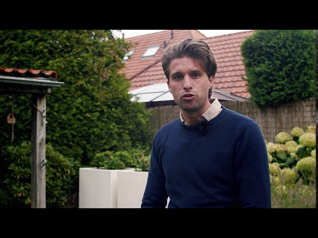 Embryo Chacco Blue x Vigo d'Arsouilles