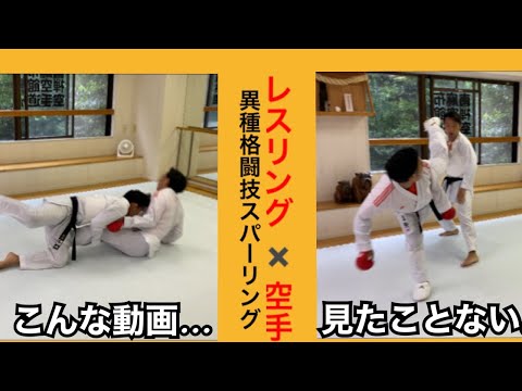 【レスリング✖︎空手】異種格闘技スパーリングで技術交流！/空手 レスリング 異種格闘技 スパーリング