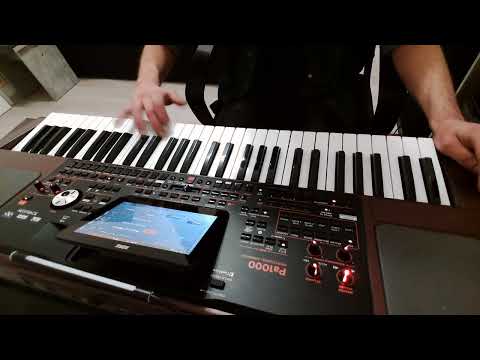 Brodica Sound'S Miki_System Indian ( Cover ) 2022