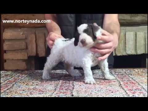 NORTEYNADA MOURA 1 mes "TRANQUILA Y CON SUSTANCIA"