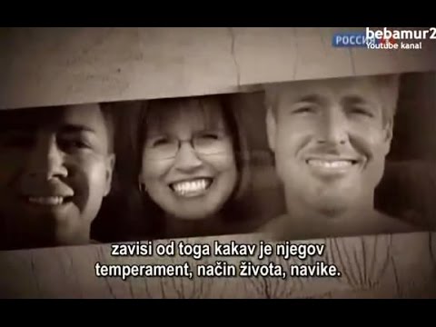 veliki crni klinci sperma u maca