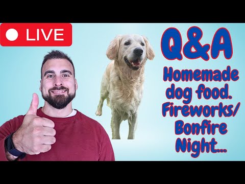 Q&A: Homemade Fog Food, Seasonal Allergies, Fireworks, Orijen & Acana