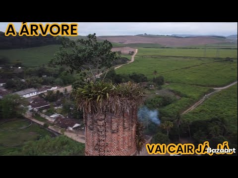 USINA BARÃO DE SUASSUNA NO MUNICÍPIO DE ESCADA-PE, EM OUTUBRO 2026