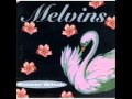 Melvins - June Bug