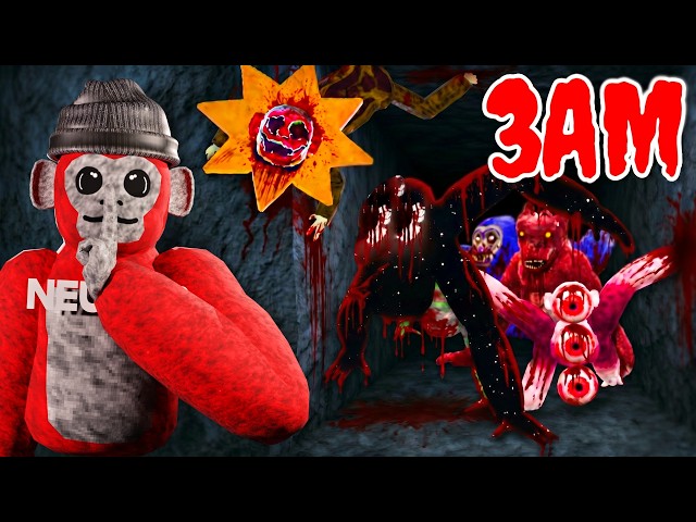 Hunting EVERY Scary Baboon MONSTER at 3AM... (So Cursed) SDDEFAULT Thumbnail