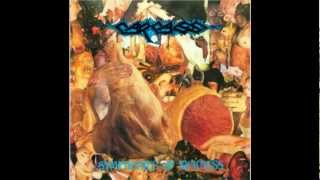 Carcass-Ruptured In Purulence