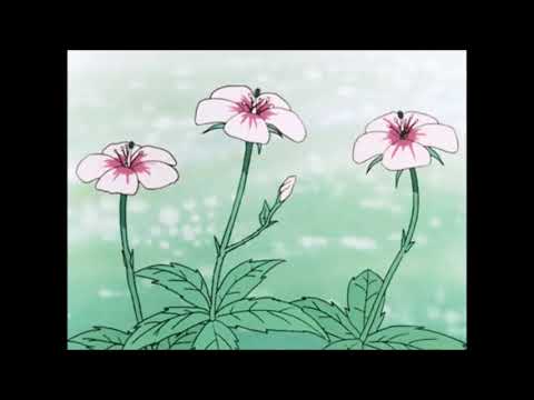 InternetTre - My Life ft. $teven Cannon (prod. KidGoten)