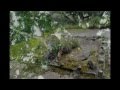 ART ABSCONs: Verborgener Gott (Songs of Hate ...