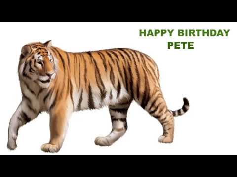 Pete  Animals & Animales - Happy Birthday