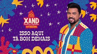 Isso Aqui Tá Bom Demais Music Video