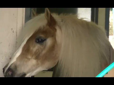 Derek Smith Trio - Gone With The Wind