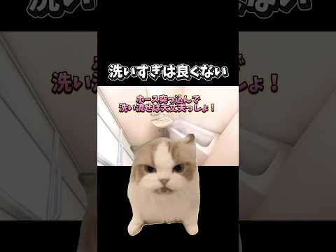 【猫ミーム】洗いすぎは良くない