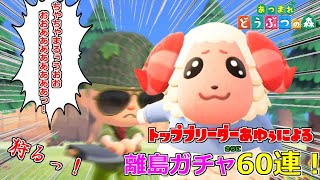 [あつ森]ちゃちゃまるチャレンジさらに60連！