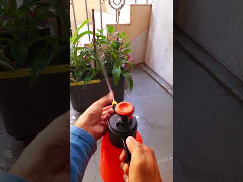 2L Hand Pump Pressure Garden Spray Bottle Handheld Sprayer at Rs 140 in  Surat
