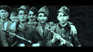 Thе Ukrainian Insurgent Army Chronicles 1942-1954. Part  ONE