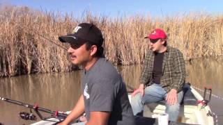 Fishing For Catfish: Back To Basics