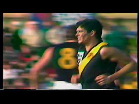 1987 Round 12 Glenelg 26.20 176 d West 16.14 110