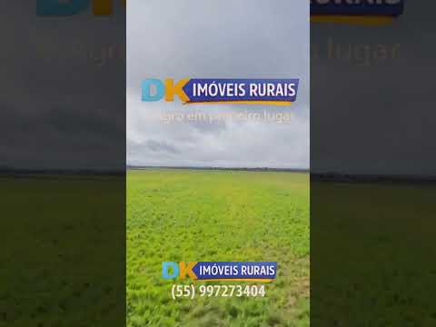 🚜 Arrendamento de Fazenda para Arroz no RS | Entre Alegrete e Rosário do Sul 🌾