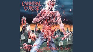 Buried in the Backyard