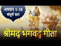 श्रीमद भगवद गीता संपूर्ण सार Bhagavad Gita With All 
