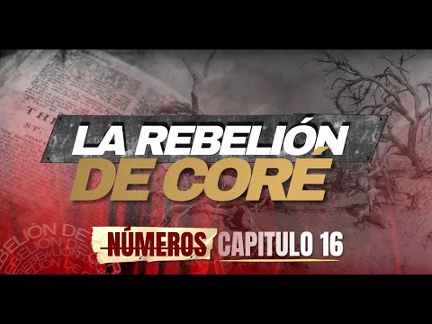 EXPLANATION BOOK OF NUMBERS CHAPTER 16