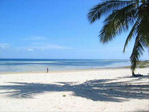 Mel e aveloz - Nando Cordel