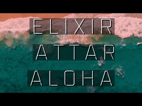Elixir Attar Unboxing Olfactory Nirvana Another Fragrance House playing in the Big Leagues