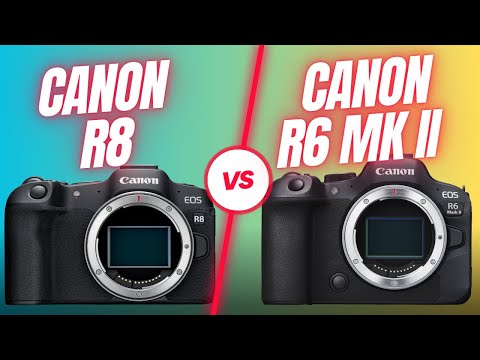 Canon R8 VS Canon R6 MK II - Which Camera Should You Buy for Bird and Wildlife Photography?
