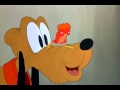 Pluto Pluto S Fledgling