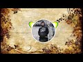 Hmeithai Pakhat Wily Ft Pui Puii Hauhnar Jizzle Producion Teaser