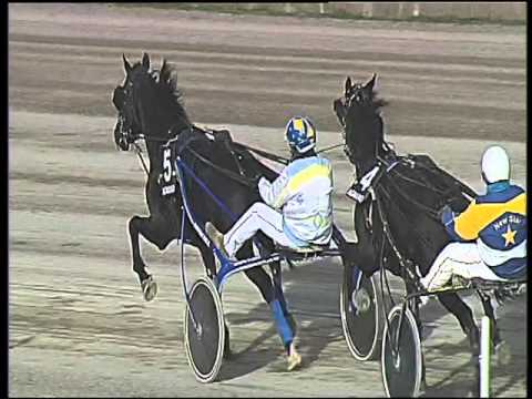 Trotto 14/01/2016 - 3° corsa