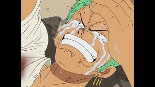 Zoro Pledges to Luffy
