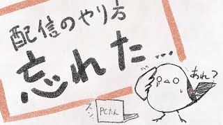 【リハビリ雑談】久々すぎて配信のやり方を忘れたエナガの末路【新環境テスト配信】