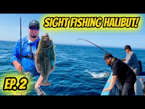 Ep. 2: SURFACE IRON YELLOWTAIL & SIGHT FISHING HALIBUT!