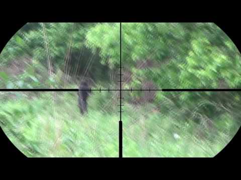 Paintball Sniper- Sar12 ScopeCam