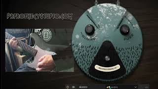 Genome New Stomps #genome #twonotesaudio #drprophecy #guitar