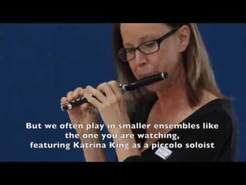 Symphony of the Southwest Community Ensembles