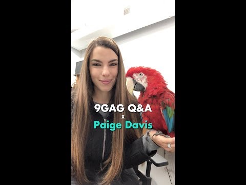 download lagu mp3 mp4 Paige Davis, download lagu Paige Davis gratis, unduh video klip Paige Davis