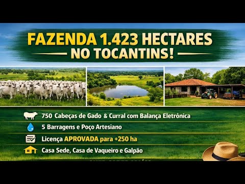 Fazenda à Venda em Arraias - TO: 294 Alqueires (1.423 Ha) Prontos para Produzir