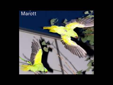 Kasper Marott  -  Drømmen Om Ø Forever Mix ‘19 KULOR002