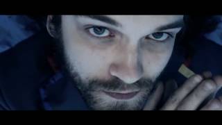 Guillemots   The Basket