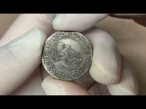 Zygmunt II August, Czworak Wilno 1567 - błąd D ^ REX