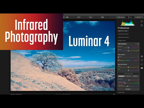Editing Infrared Photos with Luminar 4