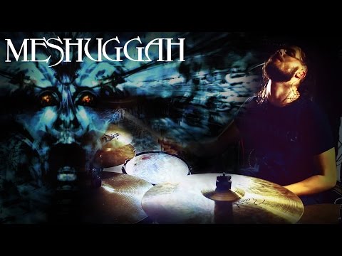 Eugene Ryabchenko - Meshuggah - Straws Pulled At Random (cover) Video